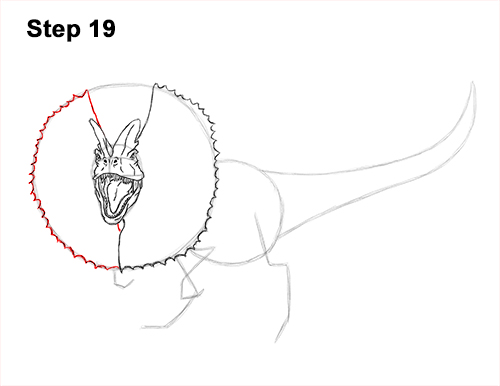 Dilophosaurus Dinosaur Drawing 19 Draw Dinosaur Dilophosaurus 19
