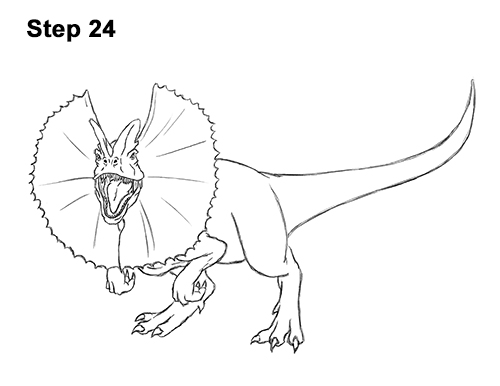 Dilophosaurus Dinosaur Drawing 24 Draw Dinosaur Dilophosaurus 24