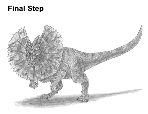 Dilophosaurus Dinosaur Drawing Draw Dinosaur Dilophosaurus