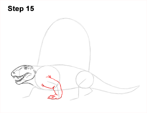 How to Draw a Dimetrodon Dinosaur Sail Spine 15