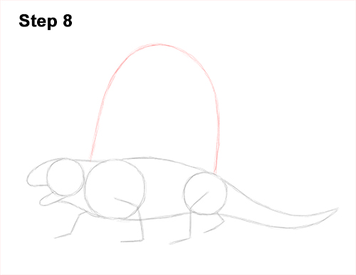 Draw a Dimetrodon 8 How to Draw a Dimetrodon Dinosaur Sail Spine 8