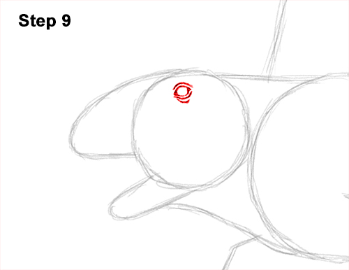 Draw a Dimetrodon 9 How to Draw a Dimetrodon Dinosaur Sail Spine 9