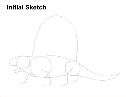 Draw a Dimetrodon Guidelines How to Draw a Dimetrodon Dinosaur Sail Spine Guide Lines