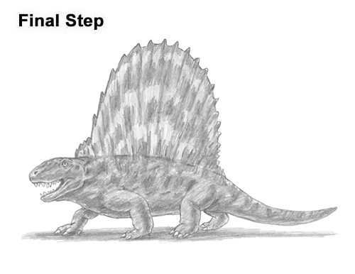 How to Draw a Dimetrodon Dinosaur Sail Spine