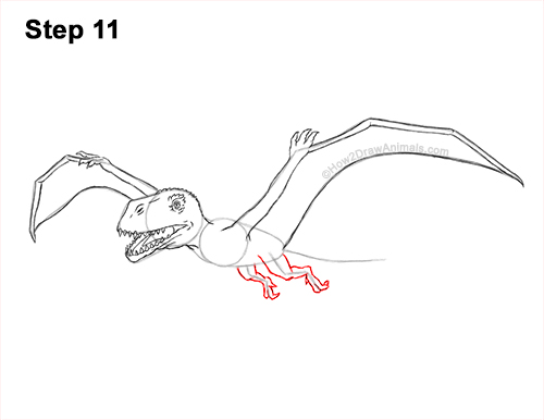 How to Draw a Dimorphodon Flying Dinosaur Pterosaur 11