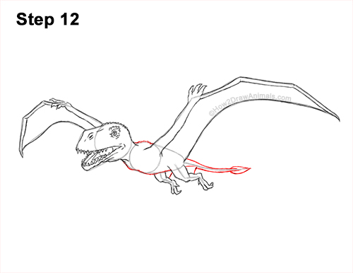 How to Draw a Dimorphodon Flying Dinosaur Pterosaur 12