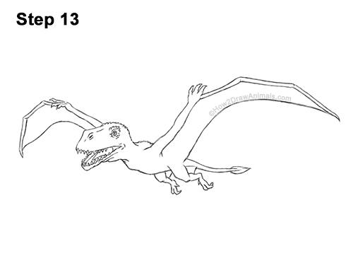 How to Draw a Dimorphodon Flying Dinosaur Pterosaur 13