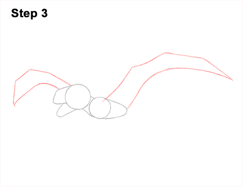 Draw a Dimorphodon Flying 3 How to Draw a Dimorphodon Flying Dinosaur Pterosaur 3