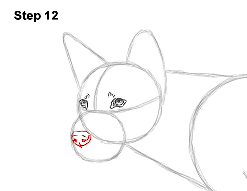 How to Draw a Side Dingo Dog Walking Australia 12