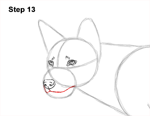 How to Draw a Side Dingo Dog Walking Australia 13