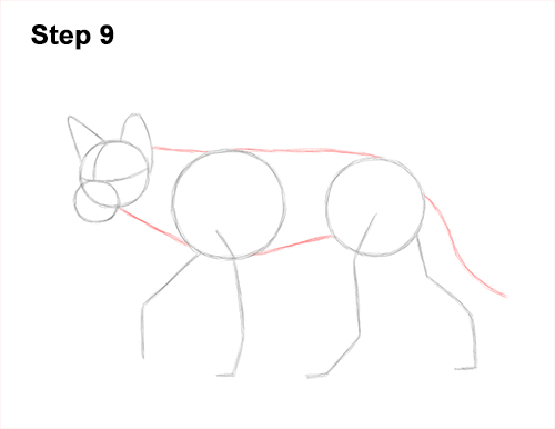 How to Draw a Side Dingo Dog Walking Australia 9