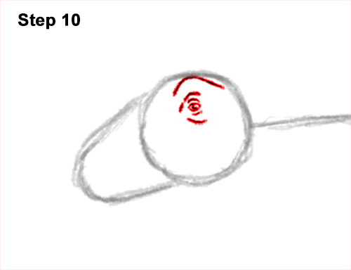 How to Draw Dinosaur Diplodocus Sauropod 10
