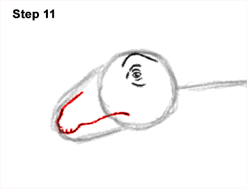 How to Draw Dinosaur Diplodocus Sauropod 11