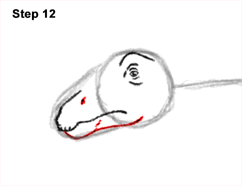 How to Draw Dinosaur Diplodocus Sauropod 12