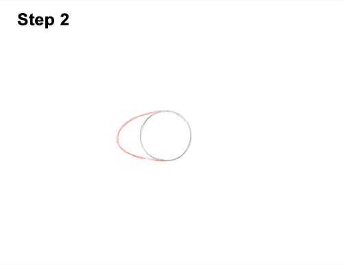 Draw Diplodocus Dinosaur 2 How to Draw Dinosaur Diplodocus Sauropod 2