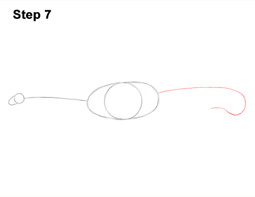 Draw Diplodocus Dinosaur 7 How to Draw Dinosaur Diplodocus Sauropod 7