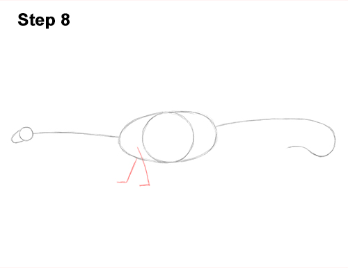 Draw Diplodocus Dinosaur 8 How to Draw Dinosaur Diplodocus Sauropod 8