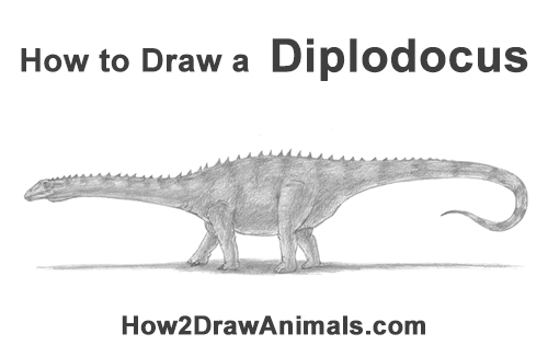 Draw Diplodocus Dinosaur How to Draw Dinosaur Diplodocus Sauropod Apatosaurus Brachiosaurus