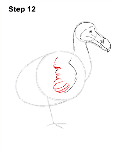 Dodo Bird Drawing 12 Draw Dodo Bird 12