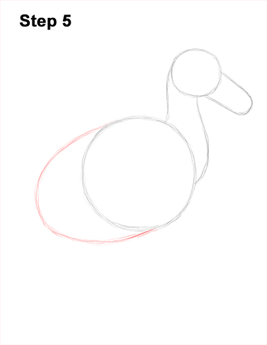 Draw Dodo Bird 5