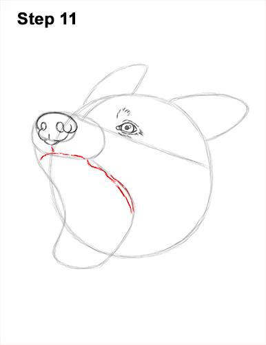 Draw German Shepherd Dog Barking 11 How to Draw Angry German Shepherd Dog Barking Head Detail 11