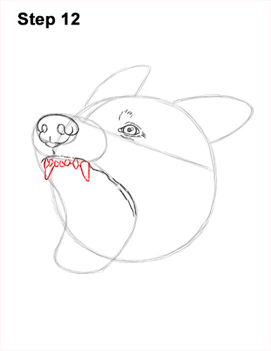 Draw German Shepherd Dog Barking 12 How to Draw Angry German Shepherd Dog Barking Head Detail 12