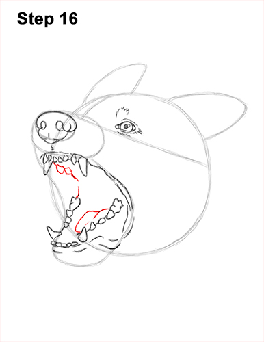 Draw German Shepherd Dog Barking 16 How to Draw Angry German Shepherd Dog Barking Head Detail 16