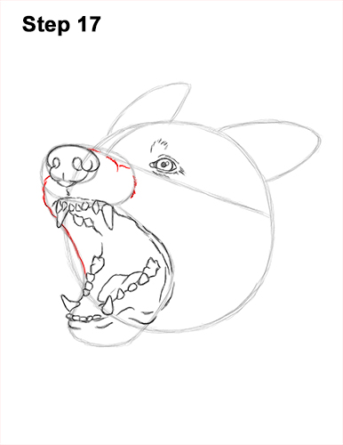 Draw German Shepherd Dog Barking 17 How to Draw Angry German Shepherd Dog Barking Head Detail 17