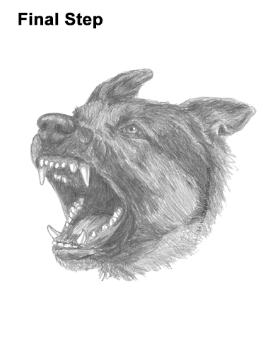 Draw German Shepherd Dog Barking How to Draw Angry German Shepherd Dog Barking Head Detail