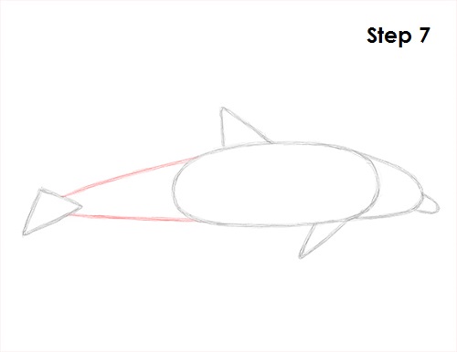 Draw Dolphin 7