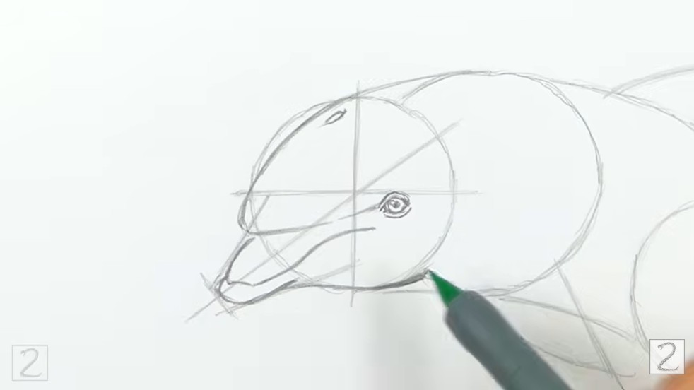 Draw the Facial Features
