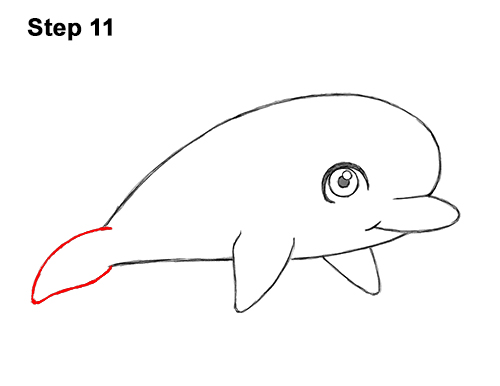 Draw a Cartoon Dolphin 11 How to Draw Cute Cartoon Dolphin 11