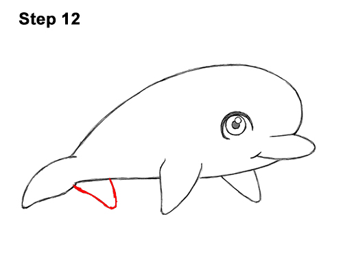 Draw a Cartoon Dolphin 12 How to Draw Cute Cartoon Dolphin 12