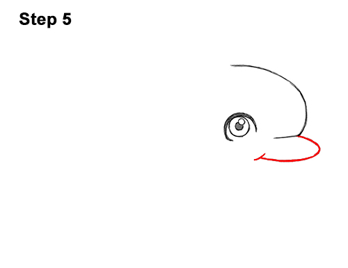 Draw a Cartoon Dolphin 5 How to Draw Cute Cartoon Dolphin 5