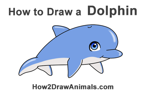 Draw a Cartoon Dolphin How to Draw Cute Cartoon Dolphin
