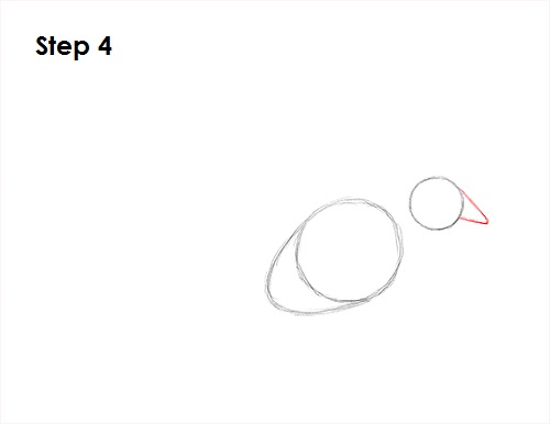 Draw Dove 4