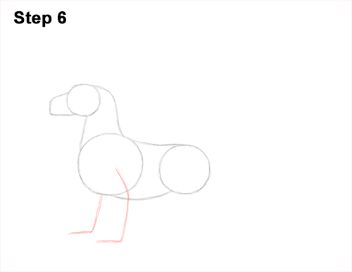 Draw an Earth Dragon 6 How to Draw a Spring Summer Earth Dragon 6