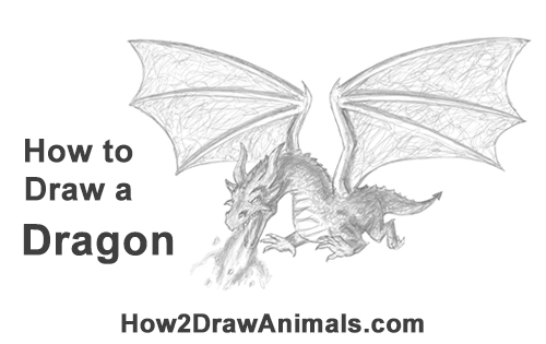 How to Draw Dragon Flying Fire Wings Flames