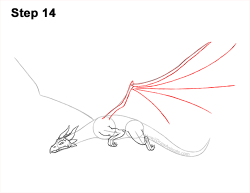 How to Draw a Dragon Flying Wings 14