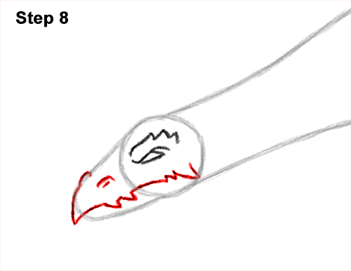 Draw a Dragon Flying Side 8 How to Draw a Dragon Flying Wings 8