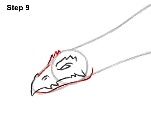 Draw a Dragon Flying Side 9 How to Draw a Dragon Flying Wings 9