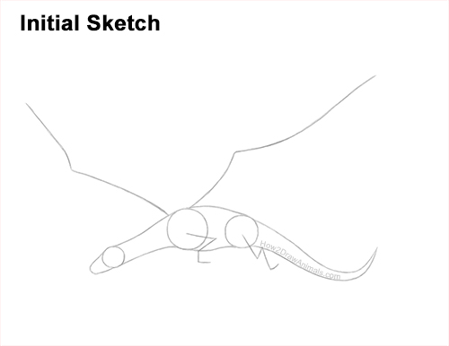 Draw a Dragon Flying Side Guidelines How to Draw a Dragon Flying Wings Guides Lines