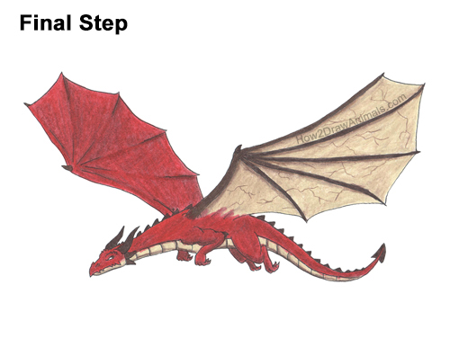 Draw a Dragon Flying Side Color How to Draw a Dragon Flying Wings Color
