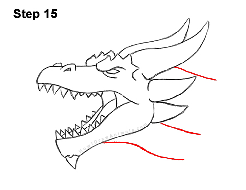 How to Draw a Dragon Head Roaring 15