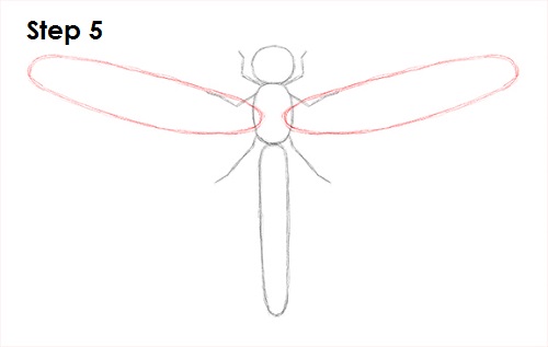 Dragonfly Drawing 5 Draw Dragonfly 5