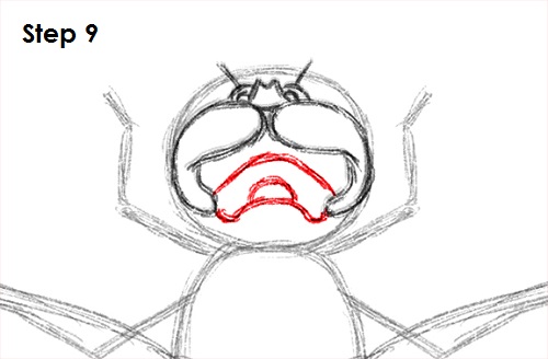 Dragonfly Drawing 9 Draw Dragonfly 9