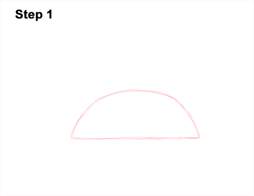 Draw a Mallard Duck 1 How to Draw a Male Mallard Duck Color 1