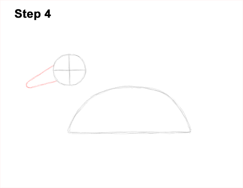 Draw a Mallard Duck 4 How to Draw a Male Mallard Duck Color 4