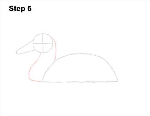 Draw a Mallard Duck 5 How to Draw a Male Mallard Duck Color 5