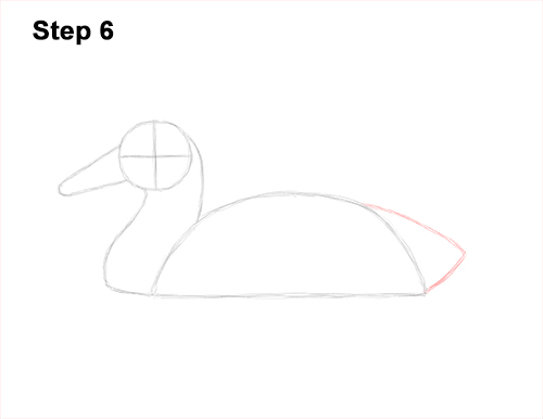 Draw a Mallard Duck 6 How to Draw a Male Mallard Duck Color 6